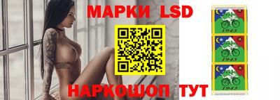 спиды Бердск