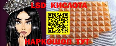 спиды Бердск
