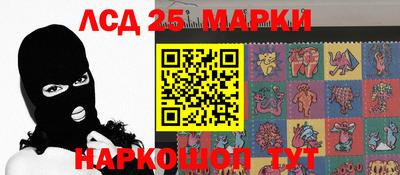 спиды Бердск