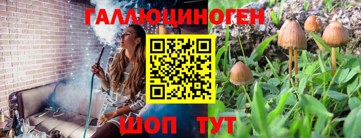 Псилоцибиновые грибы мицелий  купить закладку  Вход с VPN  Зеленогорск  Галлюциногенные грибы ЛСД 